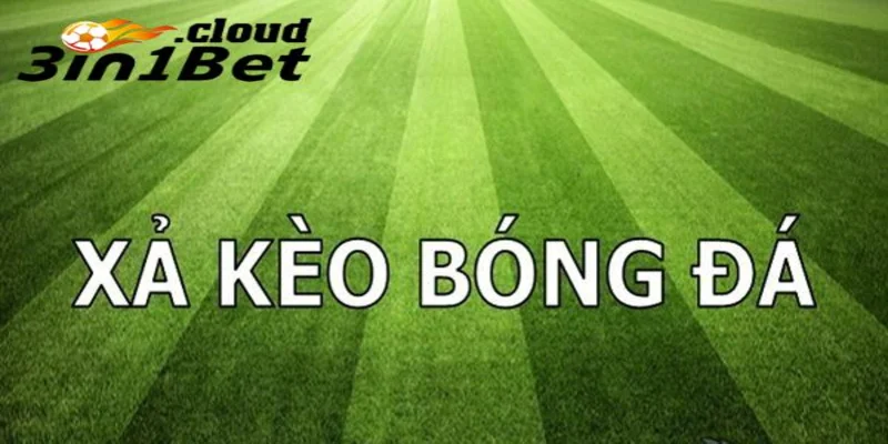 Khi nào nên xả kèo là gì để tối ưu lợi nhuận